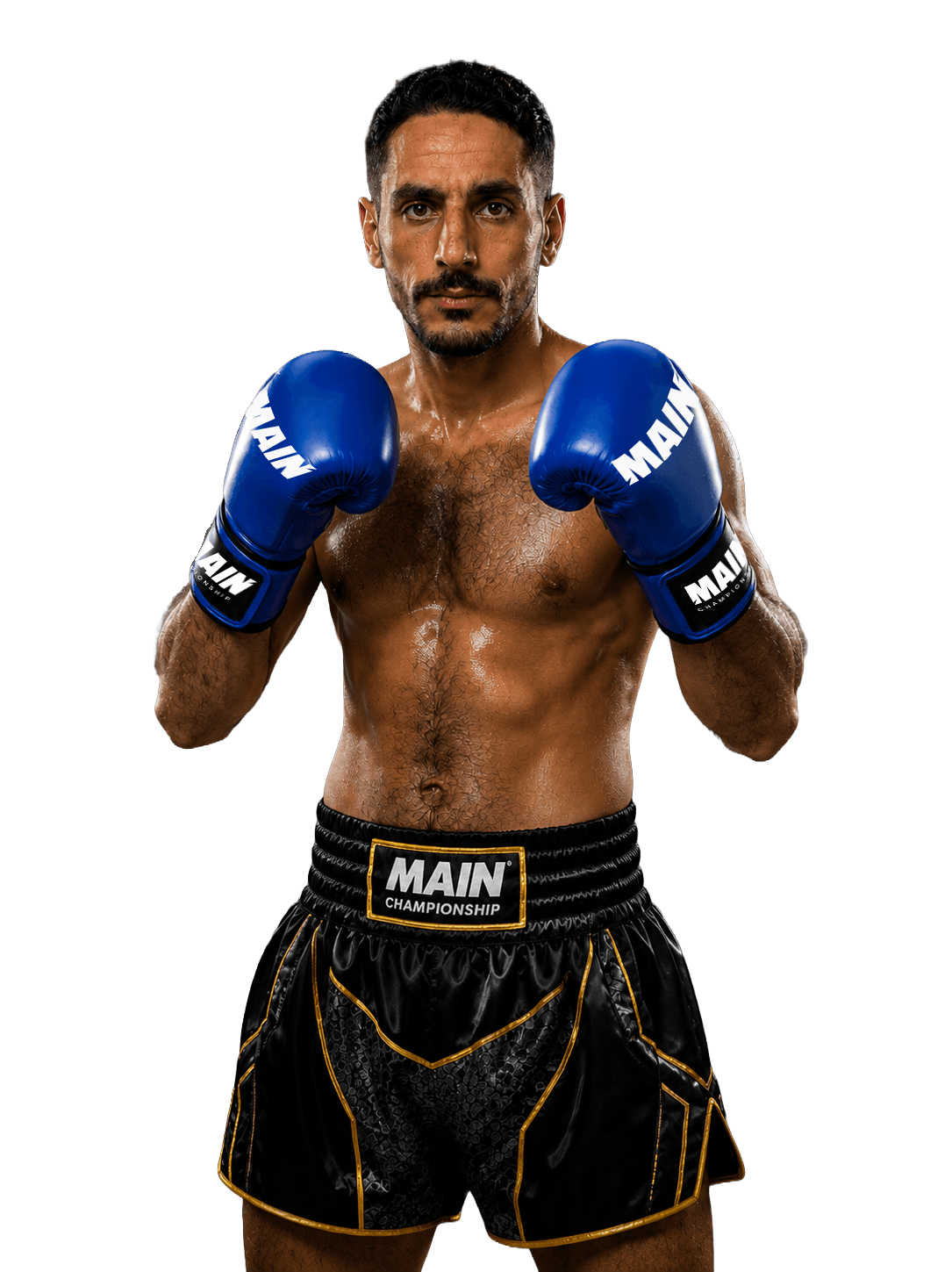 Mehdi