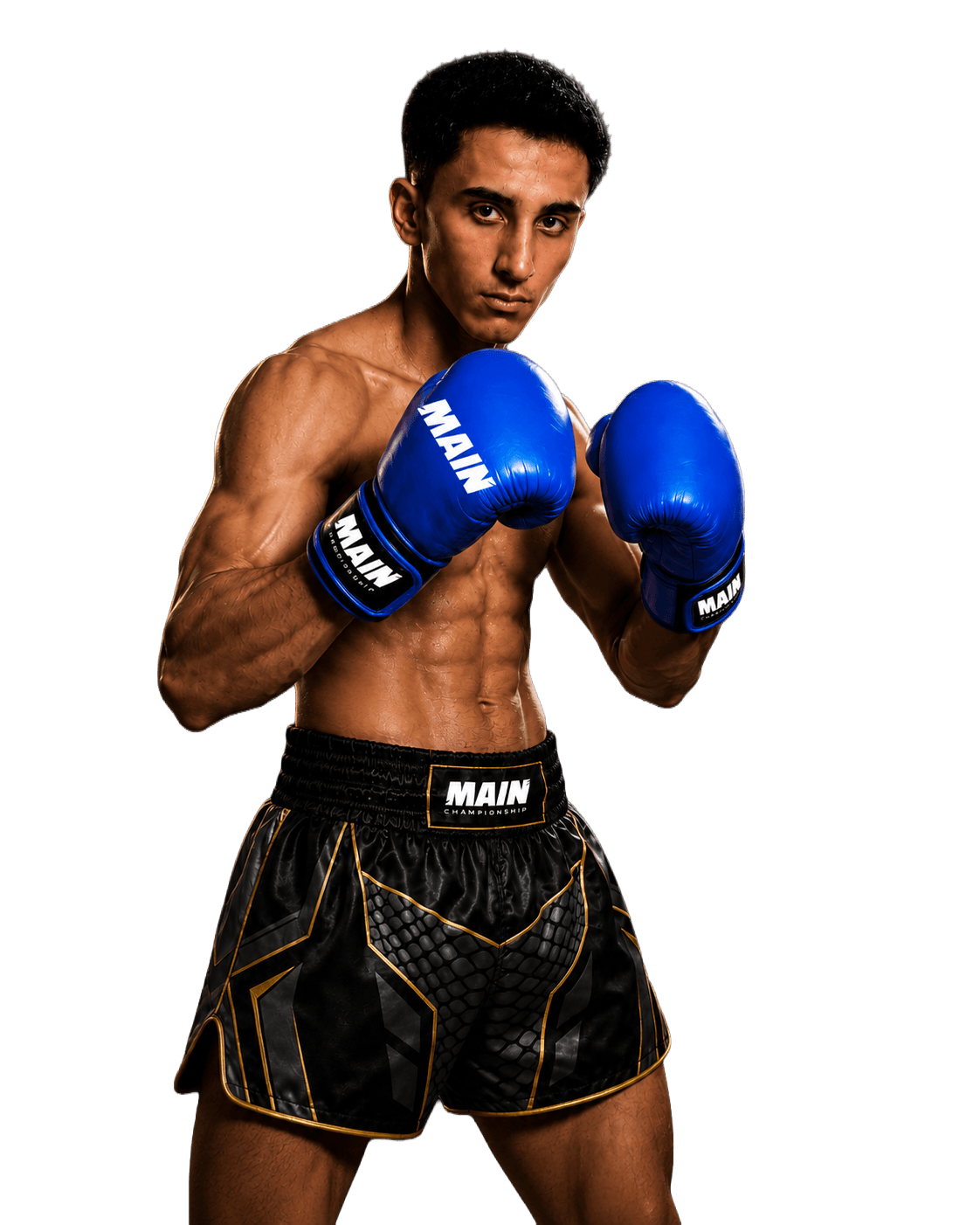Mohammad Reza